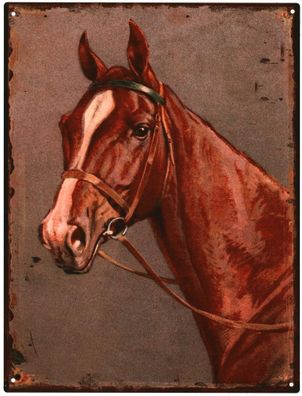 Deko Blechschild Pferd Pferdekopf Reiten 25x33 Vintage Design Metall Schild