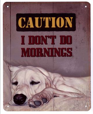 Blechschild Caution I don't do Mornings Deko Schild mit Aufschrift 20 x 25
