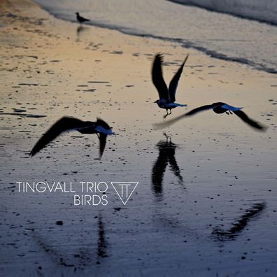Tingvall Trio: Birds - - (CD / B)