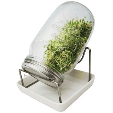 Bio-Sprossen Keimglas 1000 ml