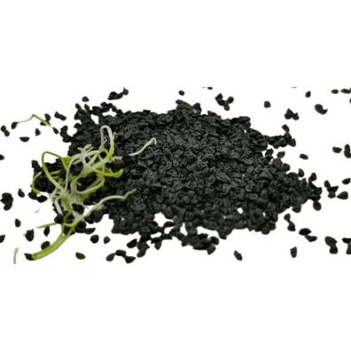 Bio-Sprossen Zwiebeln/Lauch 100 g