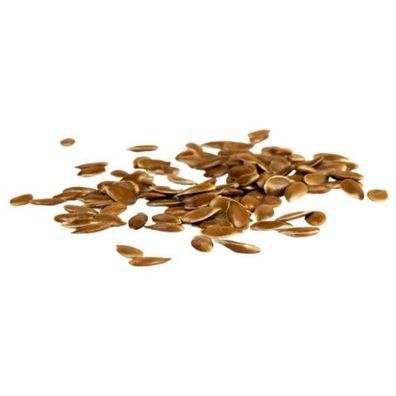 Bio-Sprossen Leinsamen 250 g