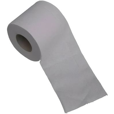 Toilettenpapier 2-lagig Recycling 250 Blatt 8x8 Rll