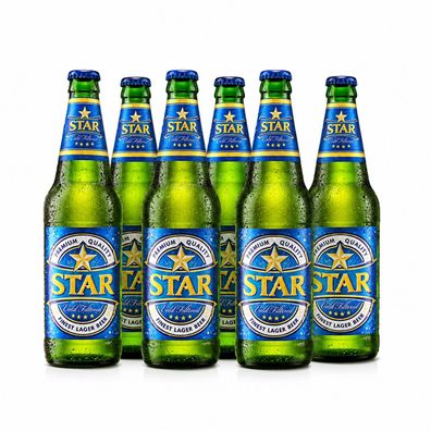 Star Finest Lager Beer 6 x 0,45 l- Nigerianisches Lager mit 5,1 % Alc