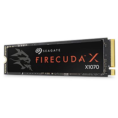 D2C Firecuda X1070 4TB PCIE SSD NO Encryption 512E M.2S
