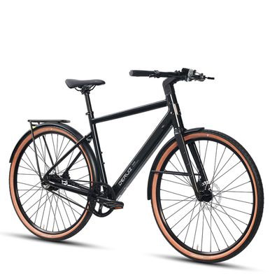 DERUIZ Turmali 52cm Leichtes Ebike 36V 250W mit Gates Carbon Drive Riemenantrieb
