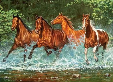 Wasserfall-Lauf