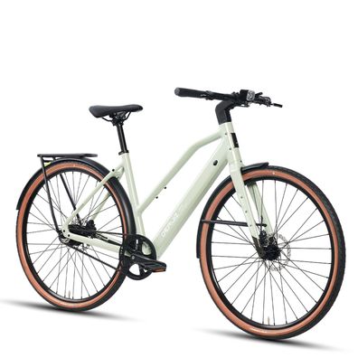 DERUIZ City eBike 36V/360Wh 250W/35Nm Elektrofahrrad mit Riemenantrieb