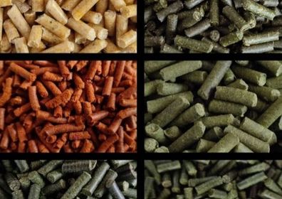 Garnelen Futtersticks - Zufälliger Mix (25 g)