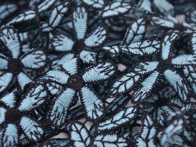 Abendmode Spitzenstoff mit Blumen in blau, schwarz, transparent - 125cm breit