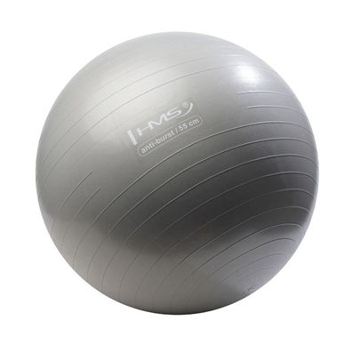 HMS YB02N Gymnastikball 55 cm schwarzgrau mit Ballpumpe