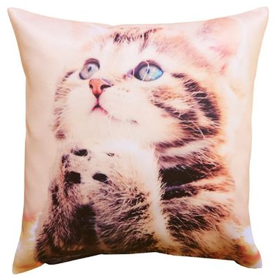40x40 cm Kissenhülle - Fotodruck ''Katze''