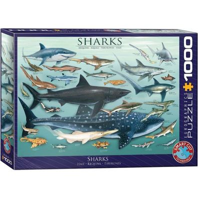 Eurographics Puzzle Haie 1000 Teile