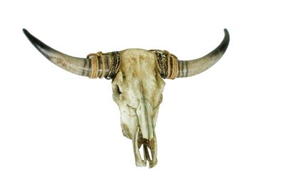 Deko-Geweih JAN Kunststoff Natur 16,5x52,5x79 Geweih Tier-Dekoration