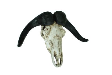 Deko-Geweih BÜFFEL Kunststoff Natur 49x65,5x21 Geweih Tier-Dekoration