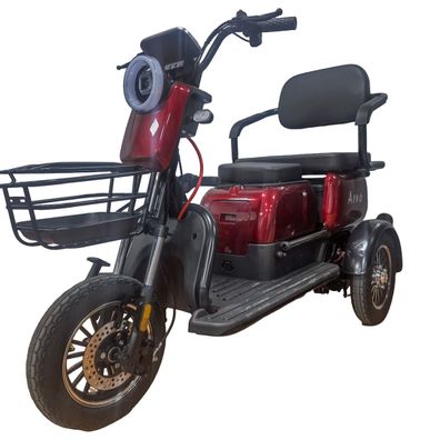 Arvo Seniorenmobil P250 Rot