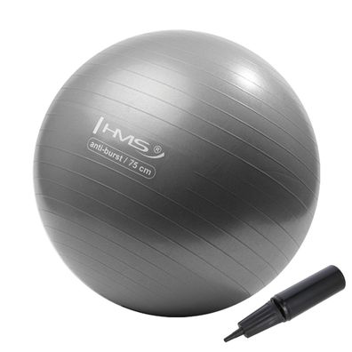 HMS Gymnastikball YB02N Rutschfester Sitzball Fitness Training 75 cm Stahlblau