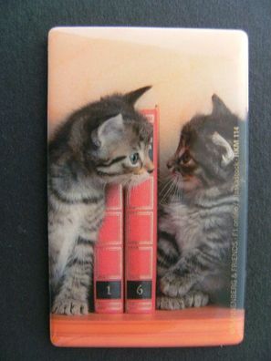 Magnet Katzen Bücherregal 8x5cm Kühlschrankmagnete Tier Magnete