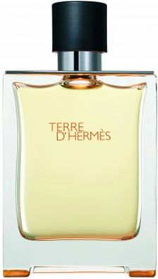 Terre d´Hermès von Hermès Eau de Toilette 100 ml