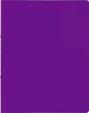Brunnen 106551660 Ringbuch FACT!pp purple