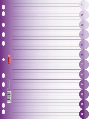 Brunnen 106659560 Ringbuchregister Colour Code blanko purple