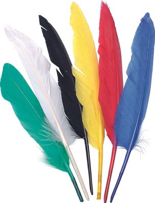 KNORR prandell 212543807 Indianerfedern 25 - 30 cm bunt sortiert