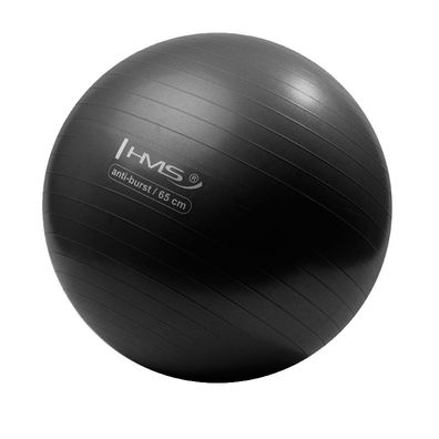 HMS YB02N Gymnastikball 65 cm schwarz mit Ballpumpe