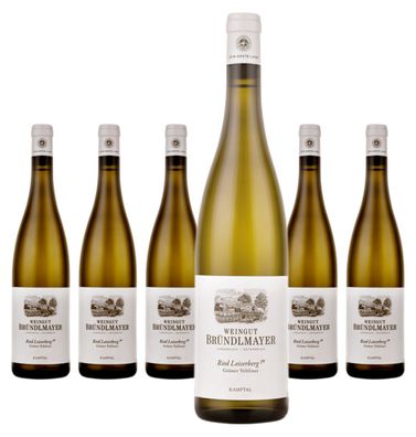 6 x Bründlmayer Grüner Veltliner Loiserberg Kamptal DAC 1ÖTW – 2023