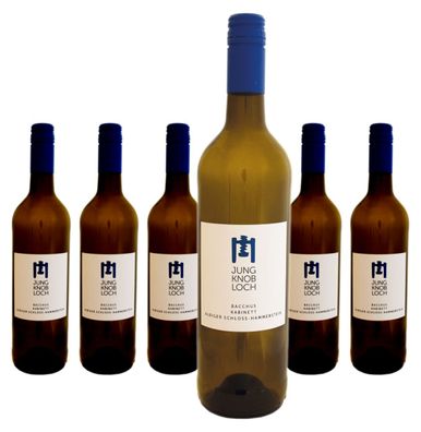 6 x Jung & Knobloch Albiger Schloß Hammerstein Bacchus Kabinett (lieblich) – 2025