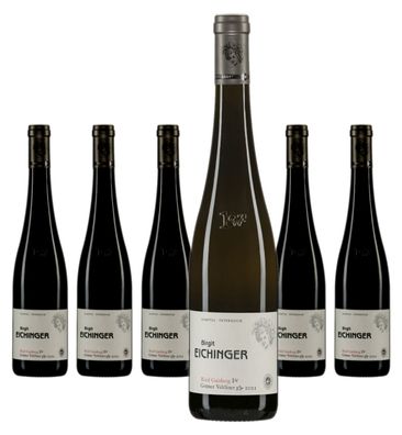 6 x Birgit Eichinger Ried Strasser Gaisberg Grüner Veltliner Erste Lage – 2023