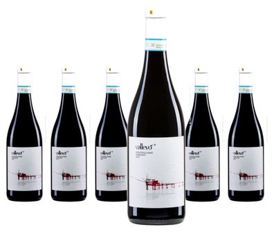 6 x Cantina Frentana Vallevo Montepulciano d' Abruzzo – 2024