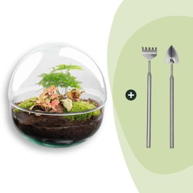 Flaschengarten - Dome Rot - Rake + Shovel - Ø20cm - 20cm - Ökosystem & Terrarium