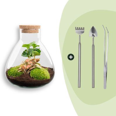 Flaschengarten - Sammie Coffea + Rake + Shovel + Tweezer - Ø22,5cm - 27cm - Ökos