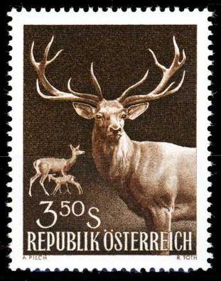 Österreich 1959 Nr 1065 postfrisch X280FEA
