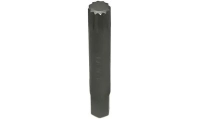 M12 Vielzahn Nuss Cr-V 10mm Innensechskant
