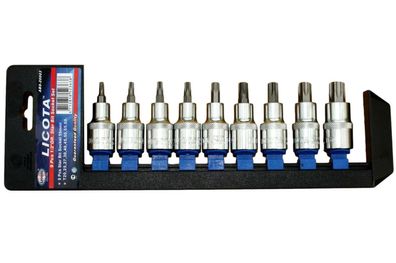 9-teiliges Innensechskant Nuss Set aus Chrom-Vanadium-Stahl, T20-T60