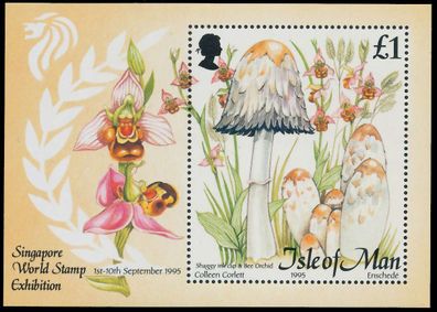 ISLE OF MAN Block 24 postfrisch XAD0AE2