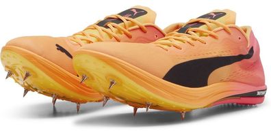 Puma Schuhe Low evoSPEED Long Distance Nitro Elite 2 379557
