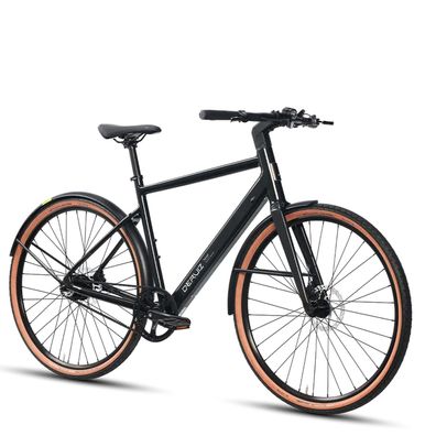 DERUIZ Citybike Riemenantrieb Ebike Drehmomentsensor 35Nm 36V/360Ah Elektrofahrrad