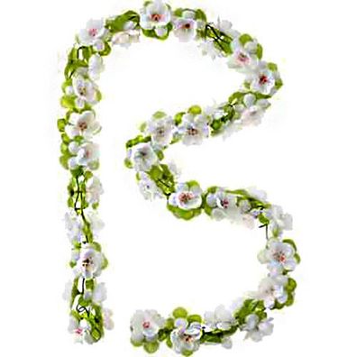 Basil Flower Garland weiß