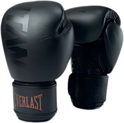 Everlast Titan Muay Thai Handschuhe P00003533