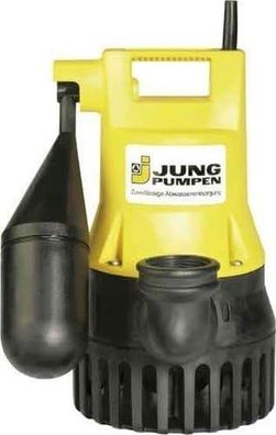 Jung Kellerentwaesserungspumpe U5KS Niro 1 1/4" 10m Druckrohrstutzen 1