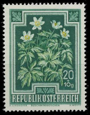 Österreich 1948 Nr 869 postfrisch X9DD6EE