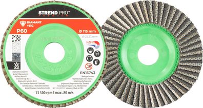 Scheibe Strend Pro, 115 x 22 mm, Schleif, P60