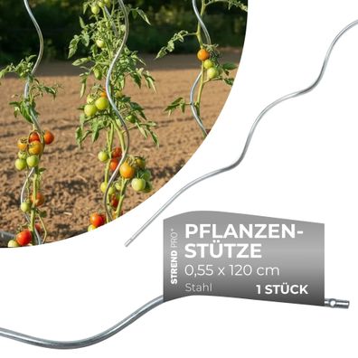Stab GS1 1200/5,5 mm, spiralförmig, Draht, Zn, Stützstab für Pflanzen und