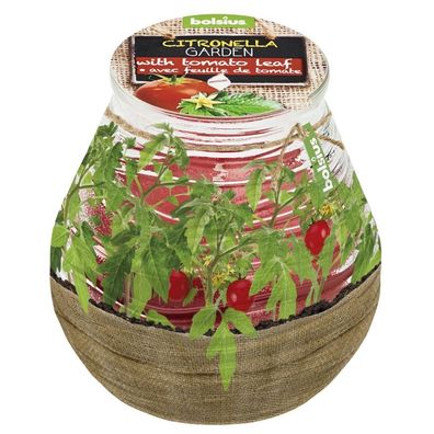 Kerze bolsius Teracce Citronella, Repellent, 94/91 mm, Tomate