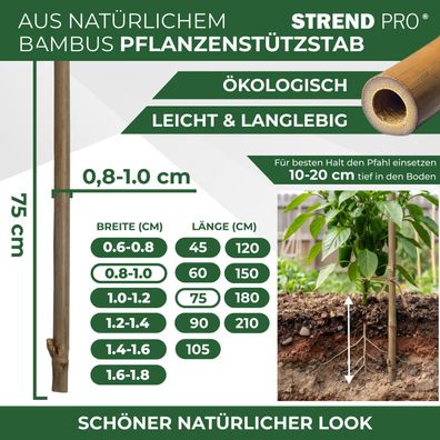 Stab Garden KBT 750/8-10 mm, Pack. 10 Stk., Bambus, Stützstab für Pflanzen