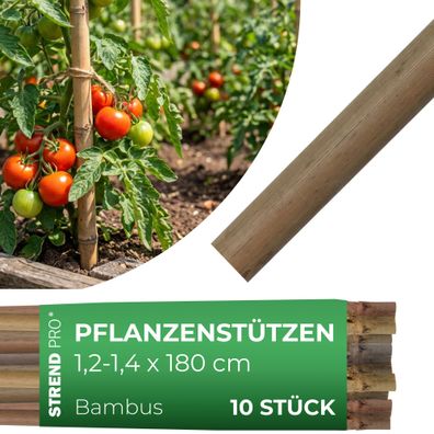 Stab Garden KBT 1800 12-14 mm, Pack. 10 Stk., Bambus, Stützstab für