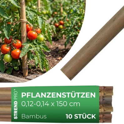 Stab Garden KBT 1500 12-14 mm, Pack. 10 Stk., Bambus, Stützstab für