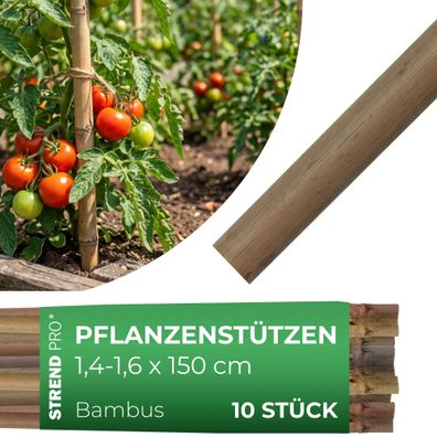 Stab Garden KBT 1500 14-16 mm, Pack. 10 Stk., Bambus, Stützstab für